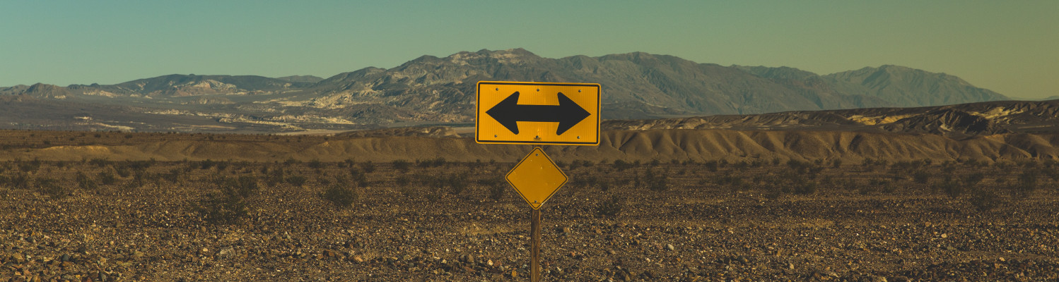 Unternehmen, Vision, Unternehmer